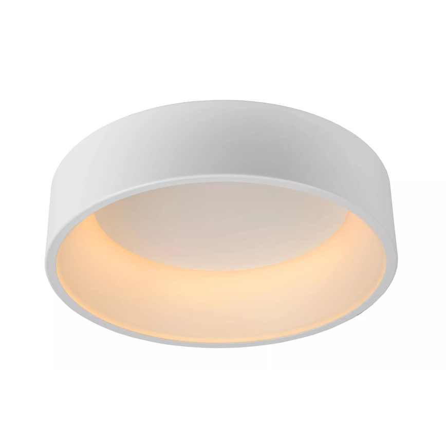 Lucide 46100/32/31 - LED Stmívatelné stropní svítidlo TALOWE LED LED/30W/230V