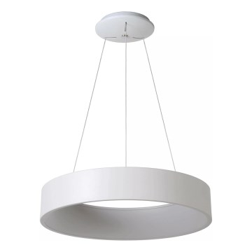 Lucide 46400/42/31 - LED Stmívatelný lustr na lanku TALOWE LED/39W/230V