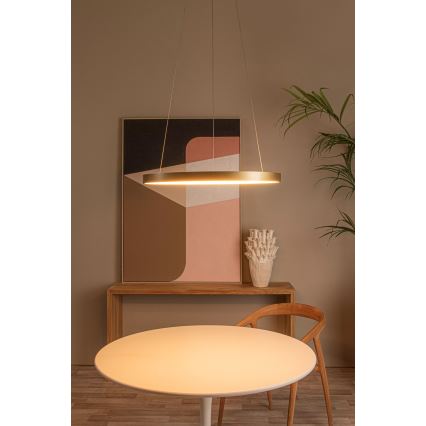 Lucide 46403/48/02 - LED Stmívatelný lustr na lanku VIDAL LED/48W/230V pr. 58 cm zlatá