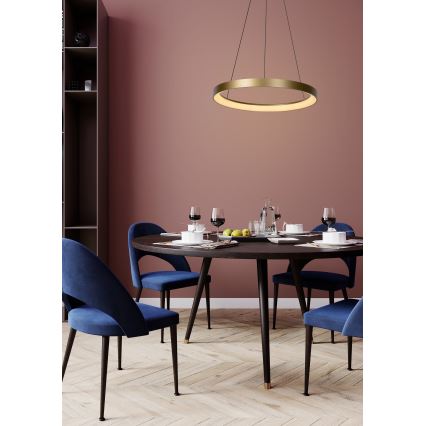 Lucide 46403/48/02 - LED Stmívatelný lustr na lanku VIDAL LED/48W/230V pr. 58 cm zlatá