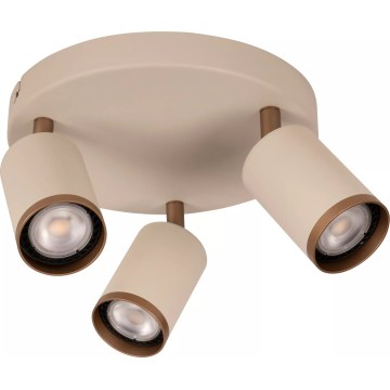 Lucide 53914/13/41 - Bodové svítidlo REGINA 3xGU10/50W/230V béžová