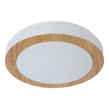 Lucide 79179/12/72 - LED Stropní koupelnové svítidlo DIMY LED/12W/230V