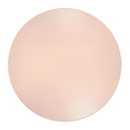 Lucide 79199/26/61 - LED Stropní svítidlo OTIS LED/26W/230V