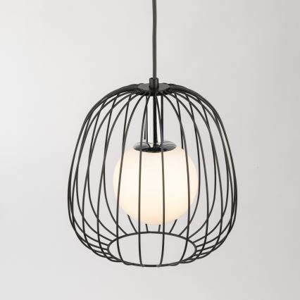 Lustr na lanku BELL 1xG9/12W/230V pr. 24 cm černá/lesklý chrom
