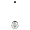 Lustr na lanku BELL 1xG9/12W/230V pr. 24 cm černá/zlatá