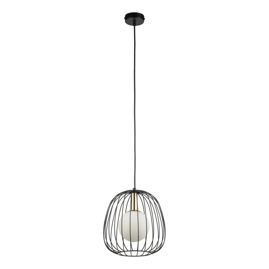 Lustr na lanku BELL 1xG9/12W/230V pr. 24 cm černá/zlatá