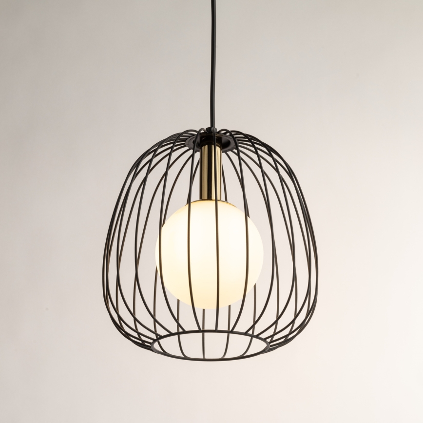 Lustr na lanku BELL 1xG9/12W/230V pr. 24 cm černá/zlatá