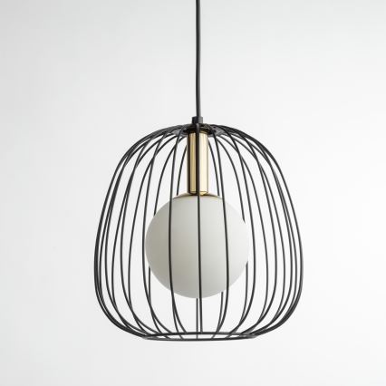 Lustr na lanku BELL 1xG9/12W/230V pr. 24 cm černá/zlatá