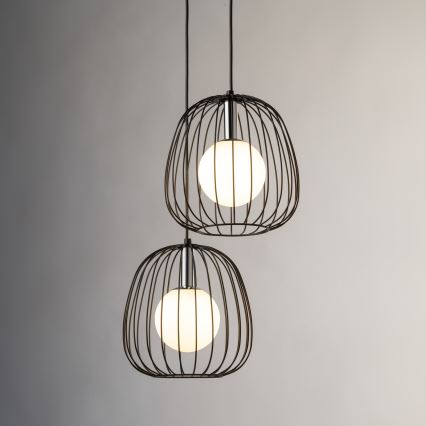 Lustr na lanku BELL 2xG9/12W/230V černá/lesklý chrom