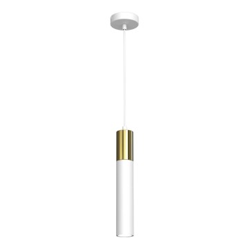 Lustr na lanku CASSA 1xGU10/8W/230V bílá/zlatá