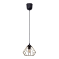 Lustr na lanku CEED GOLD 1xE27/60W/230V pr. 17,5 cm černá/zlatá