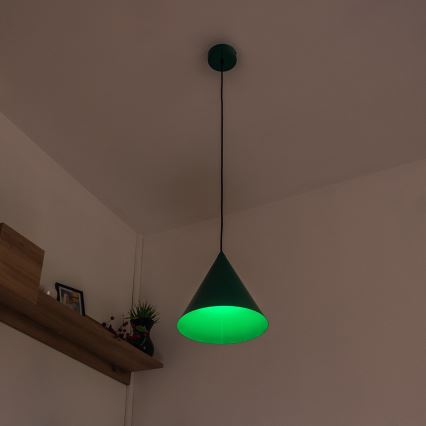 Lustr na lanku ETNA II 1xE27/15W/230V pr. 25 cm zelená