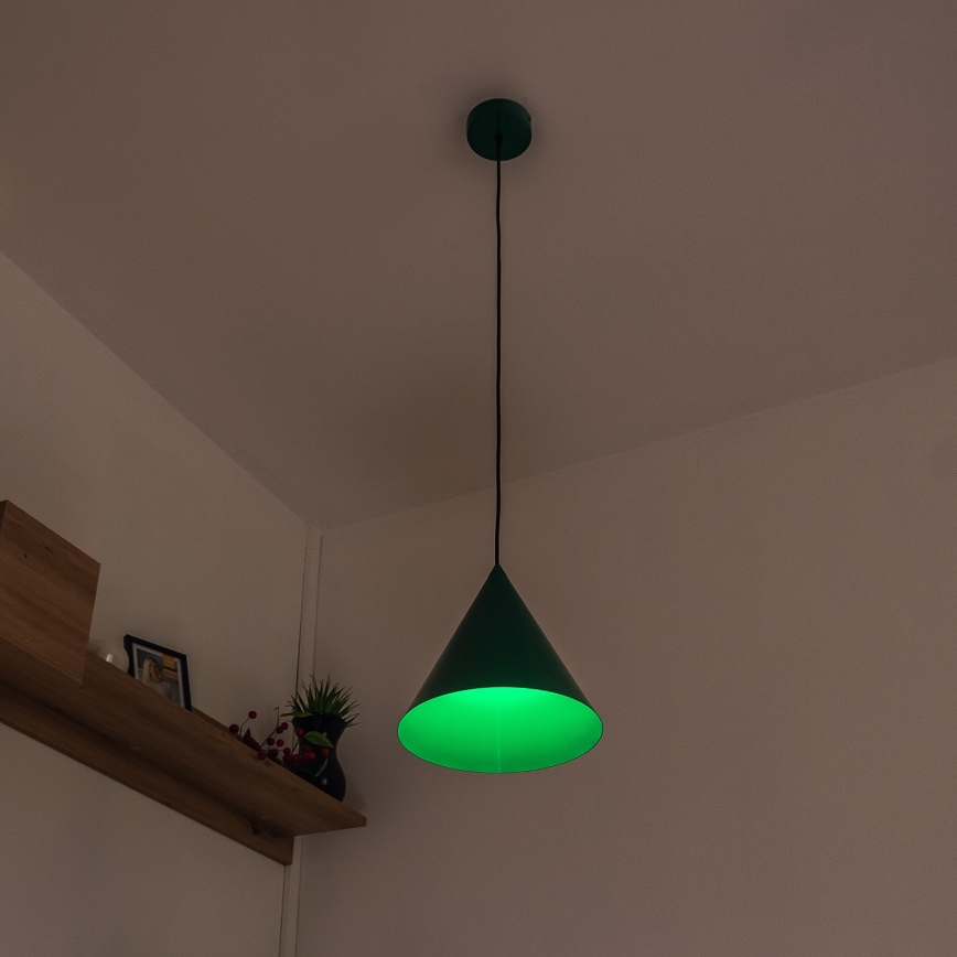 Lustr na lanku ETNA II 1xE27/15W/230V pr. 25 cm zelená