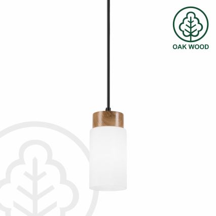 Lustr na lanku MARKUS 1xE27/15W/230V černá/dub