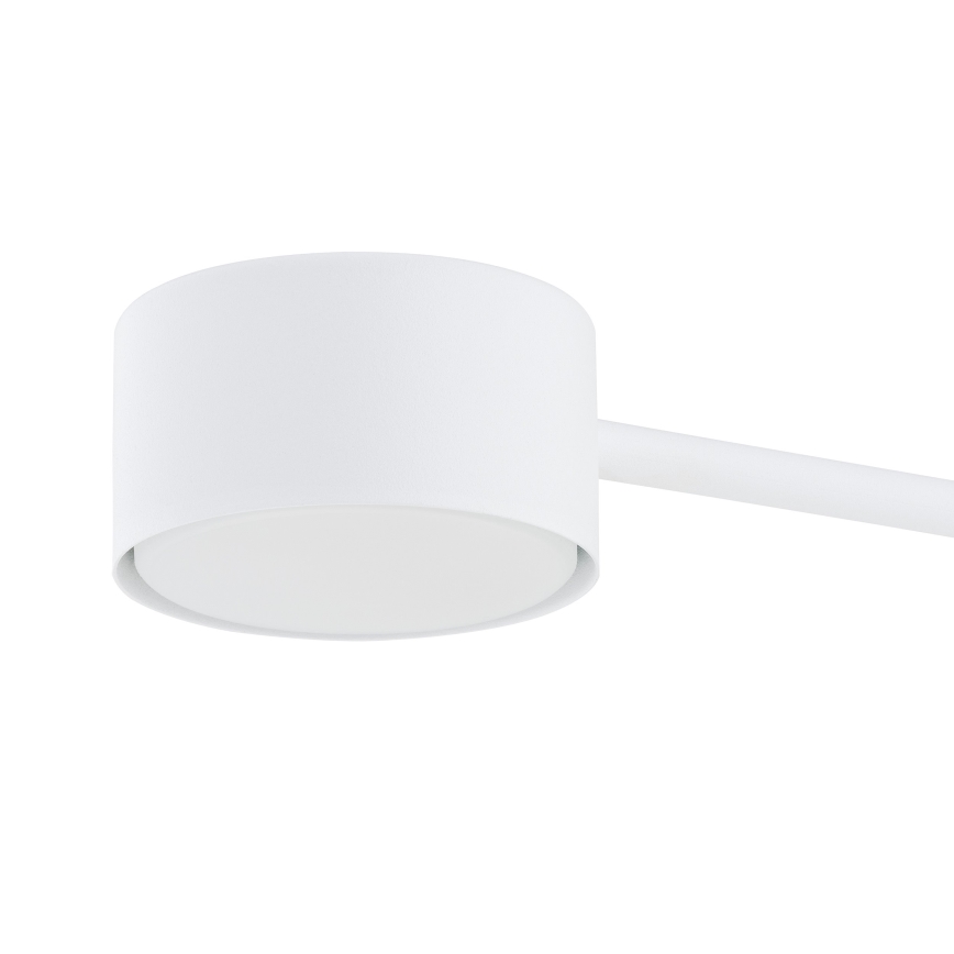 Lustr na lanku MODUS 4xGX53/10W/230V bílá
