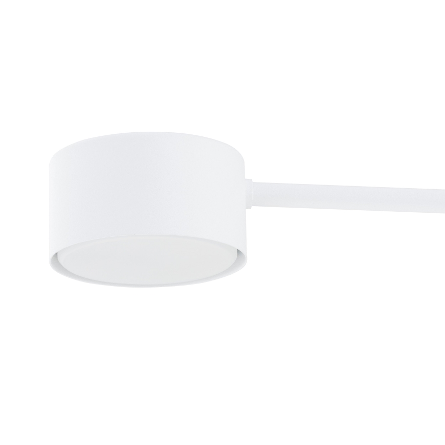 Lustr na lanku MODUS 6xGX53/10W/230V bílá