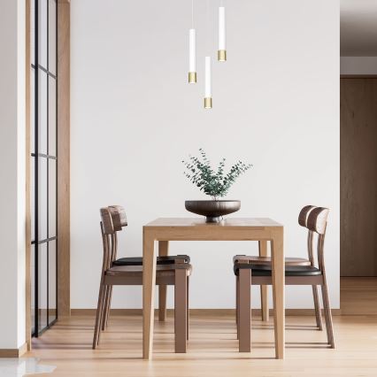 Lustr na lanku NEST 3xGU10/8W/230V bílá/zlatá kulatý