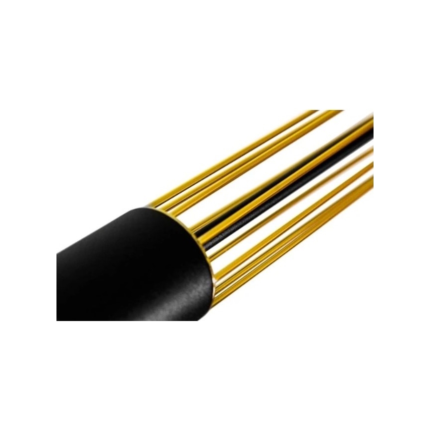 Lustr na lanku PRESCOT 3xGU10/40W/230V zlatá