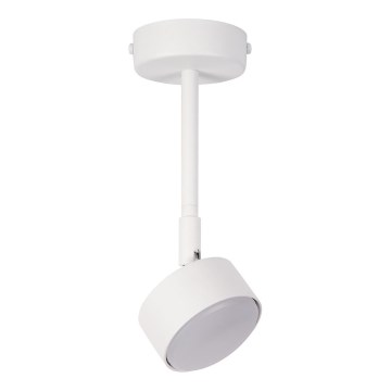 Lustr na tyči NEMO 1xGX53/12W/230V 24 cm bílá