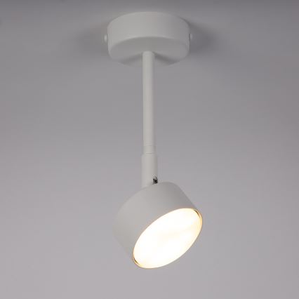 Lustr na tyči NEMO 1xGX53/12W/230V 24 cm bílá