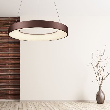 LUXERA 18407 - LED Stmívatelný lustr na lanku GENTIS LED/50W/230V