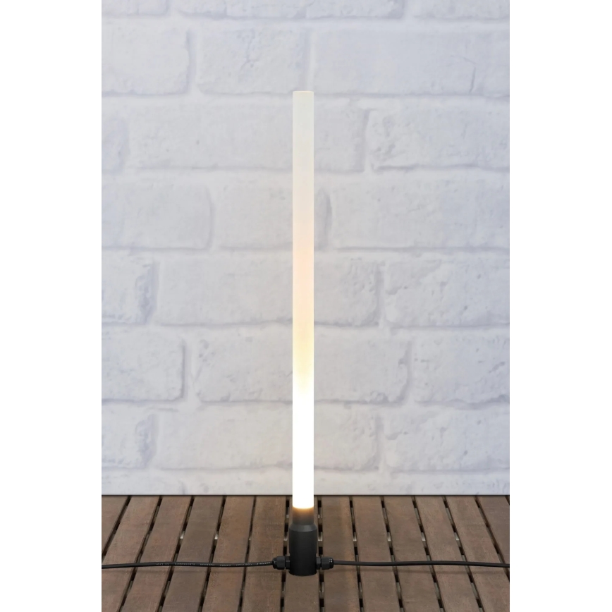 Markslöjd 107719 - LED Venkovní lampa GARDEN24 LED/3W/24V 57,5 cm IP44 černá/čirá