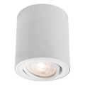 Markslöjd 109020 - LED Stmívatelné bodové svítidlo DIRETTO LED/5W/230V CRI 90 bílá