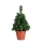 Markslöjd 703971 - Vánoční stromeček MAGGI LED/1,2W/3xAA zelená 70cm