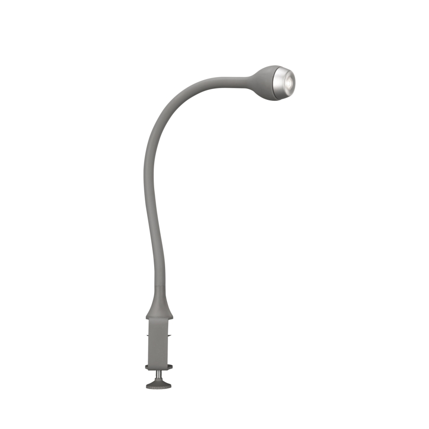 Philips Massive 66705/87/10 - LED Nástěnná stolní lampička JARNO 1xLED/2,5W metalicky šedá