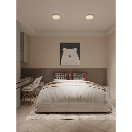 MAXLIGHT C0233 - LED Stropní svítidlo DUO LED/10W/230V pr. 34 cm bílá