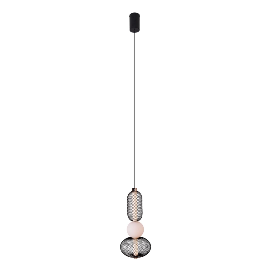 MAXLIGHT P0591 - LED Lustr na lanku BORA LED/10W/230V pr. 22 cm bílá/černá