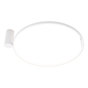MAXLIGHT W0434 - LED Koupelnové stropní svítidlo VISUAL LED/22W/230V pr. 60 cm IP44 bílá