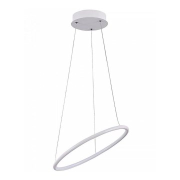 Maytoni - LED Lustr na lanku NOLA LED/24W/230W Maytoni - LED Lustr na lanku NOLA LED/24W/230W