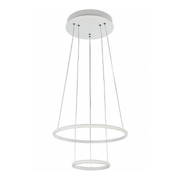 Maytoni - LED Lustr na lanku NOLA LED/36W/230W Maytoni - LED Lustr na lanku NOLA LED/36W/230W