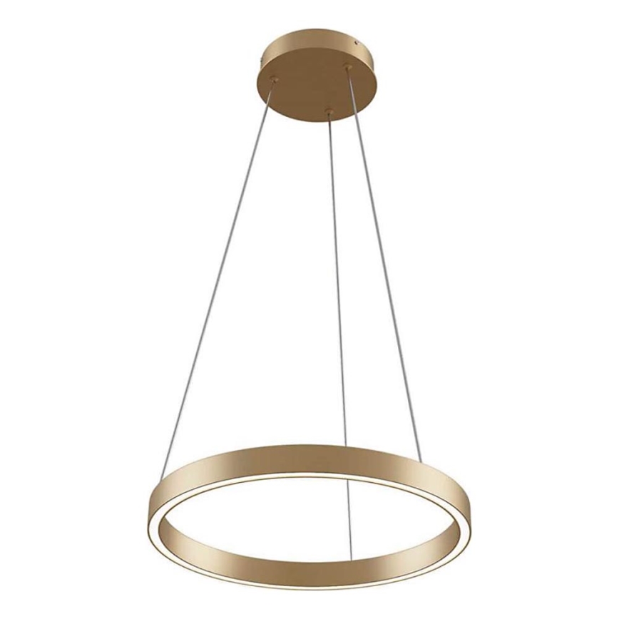 Maytoni MOD058PL-L22BS3K - LED Lustr na lanku RIM LED/25W/230V 3000K pr. 40 cm zlatá