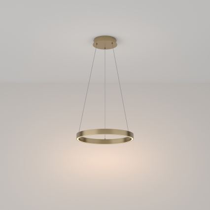 Maytoni MOD058PL-L22BS3K - LED Lustr na lanku RIM LED/25W/230V 3000K pr. 40 cm zlatá