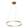 Maytoni MOD058PL-L32BS4K - LED Lustr na lanku RIM LED/37W/230V 4000K pr. 60 cm zlatá