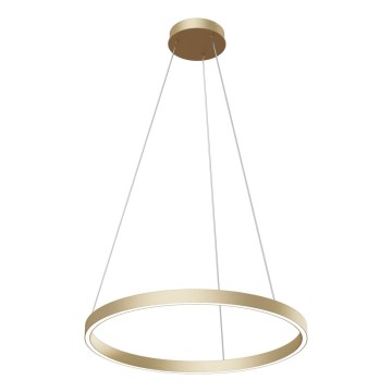 Maytoni MOD058PL-L32BS4K - LED Lustr na lanku RIM LED/37W/230V 4000K pr. 60 cm zlatá