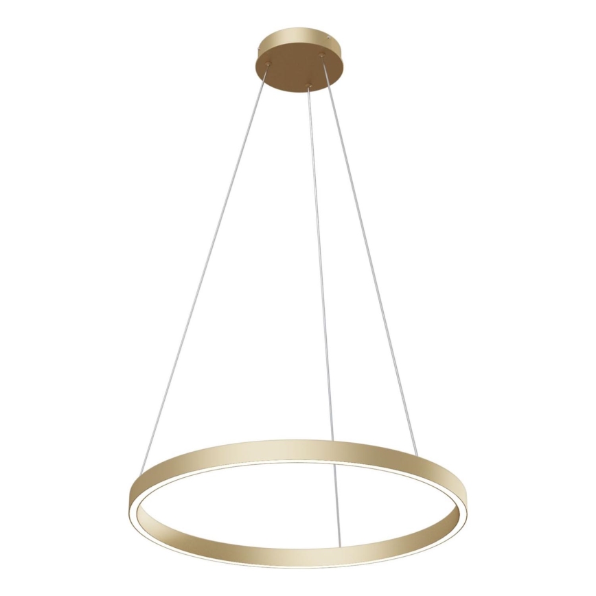 Maytoni MOD058PL-L32BS4K - LED Lustr na lanku RIM LED/37W/230V 4000K pr. 60 cm zlatá