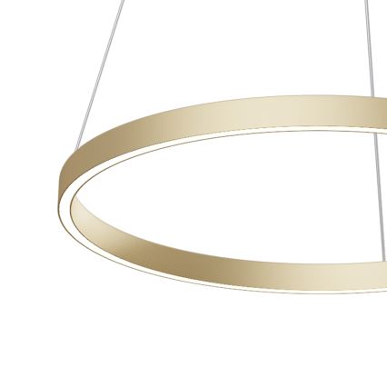 Maytoni MOD058PL-L32BS4K - LED Lustr na lanku RIM LED/37W/230V 4000K pr. 60 cm zlatá