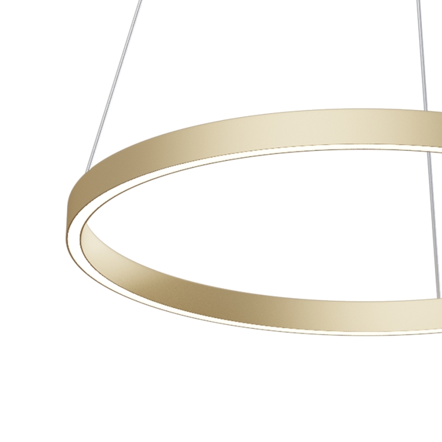 Maytoni MOD058PL-L32BS4K - LED Lustr na lanku RIM LED/37W/230V 4000K pr. 60 cm zlatá