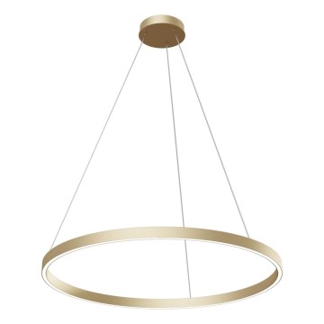 Maytoni MOD058PL-L42BS4K - LED Lustr na lanku RIM LED/51W/230V 4000K pr. 80 cm zlatá