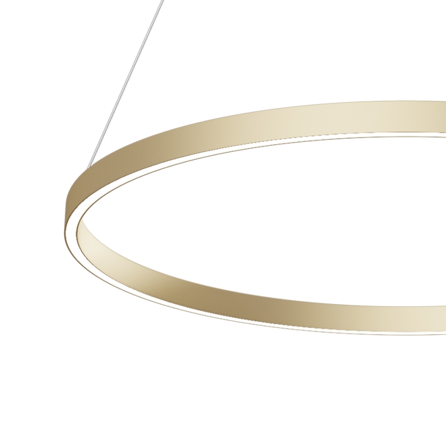 Maytoni MOD058PL-L42BS4K - LED Lustr na lanku RIM LED/51W/230V 4000K pr. 80 cm zlatá
