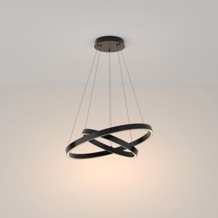 Maytoni MOD058PL-L55B3K - LED Lustr na lanku RIM LED/61W/230V 3000K pr. 60 cm černá