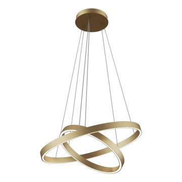 Maytoni MOD058PL-L55BS3K - LED Lustr na lanku RIM LED/61W/230V 3000K pr. 60 cm zlatá