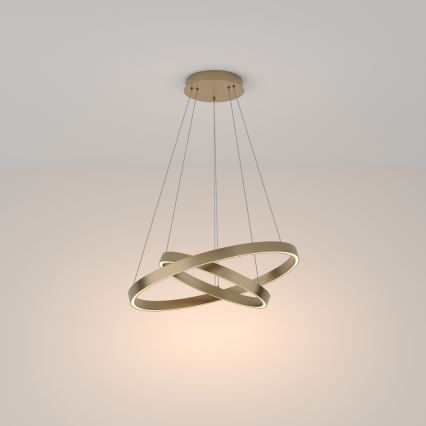 Maytoni MOD058PL-L55BS3K - LED Lustr na lanku RIM LED/61W/230V 3000K pr. 60 cm zlatá