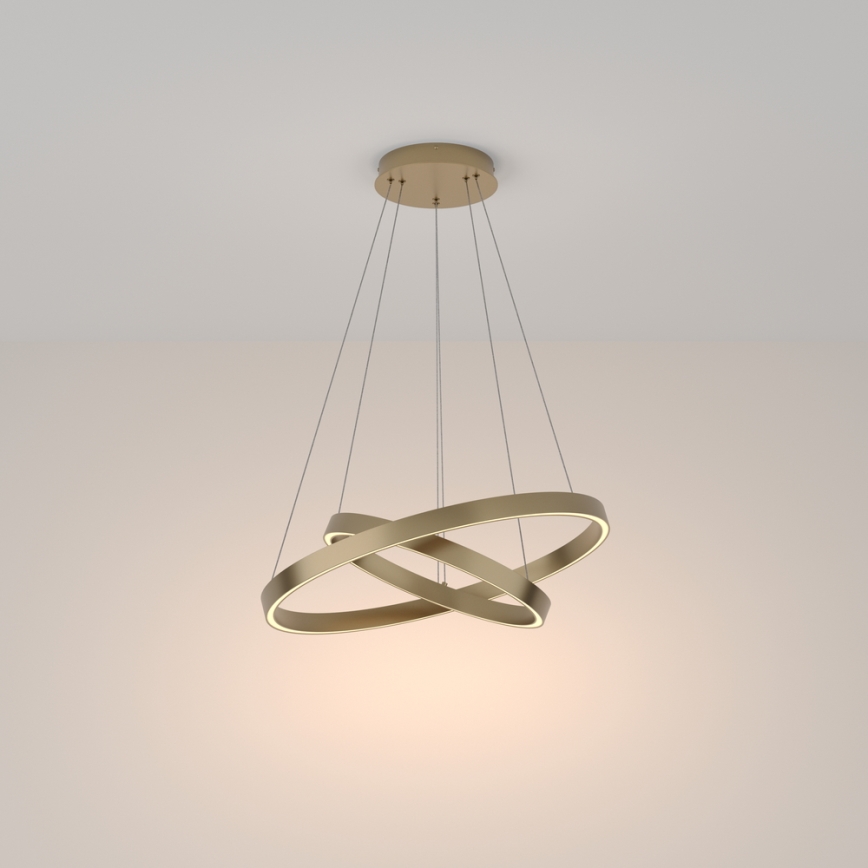 Maytoni MOD058PL-L55BS3K - LED Lustr na lanku RIM LED/61W/230V 3000K pr. 60 cm zlatá