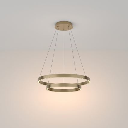 Maytoni MOD058PL-L55BS3K - LED Lustr na lanku RIM LED/61W/230V 3000K pr. 60 cm zlatá