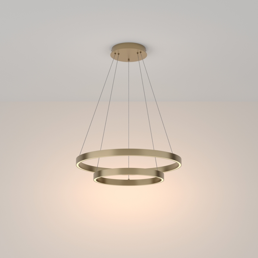 Maytoni MOD058PL-L55BS3K - LED Lustr na lanku RIM LED/61W/230V 3000K pr. 60 cm zlatá