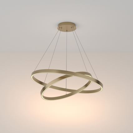 Maytoni MOD058PL-L74BS3K - LED Lustr na lanku RIM LED/88W/230V 3000K pr. 80 cm zlatá